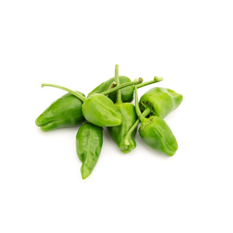 POIVRON PADRON 10X200G